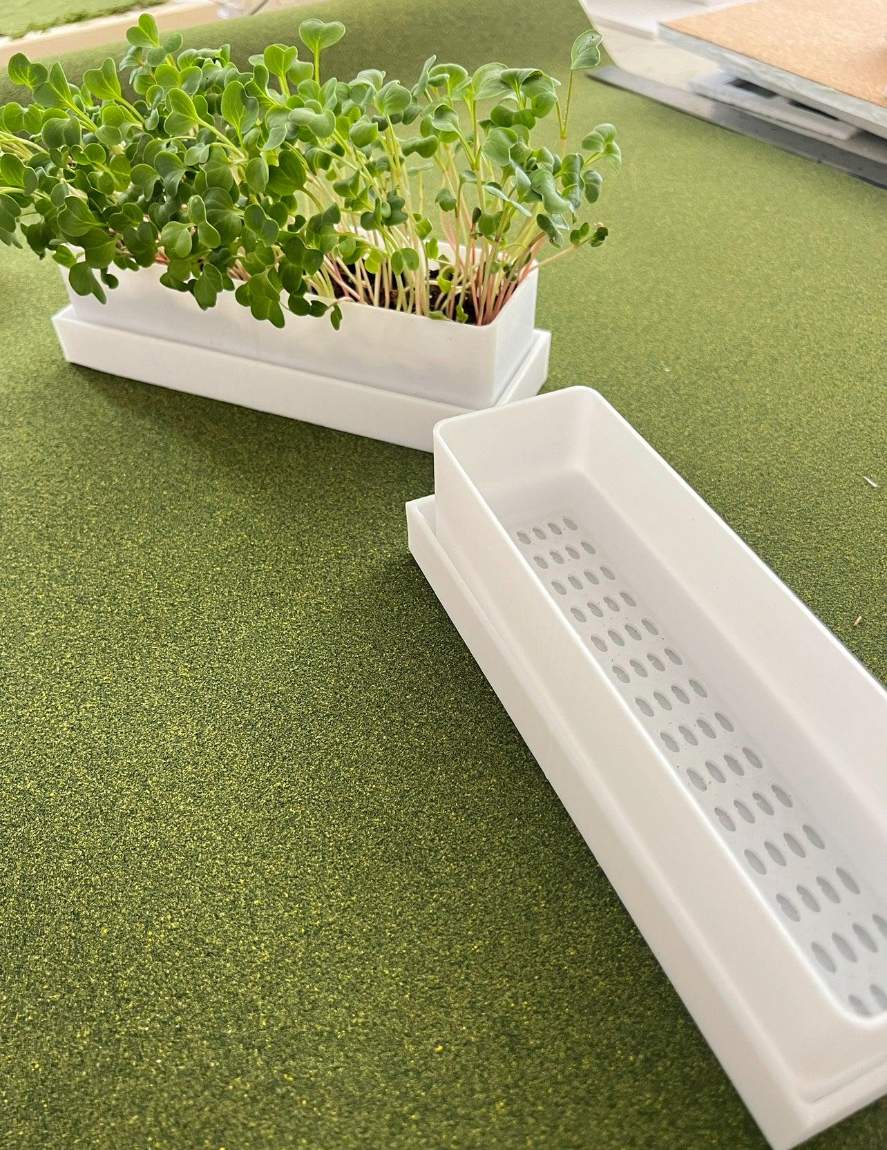 Windowsill Planter - Microgreens Kit with Seeds, Indoor Herb Garden Starter Kit, Grow Your Own Kitchen Herbs & Veggies, Gardener Gift