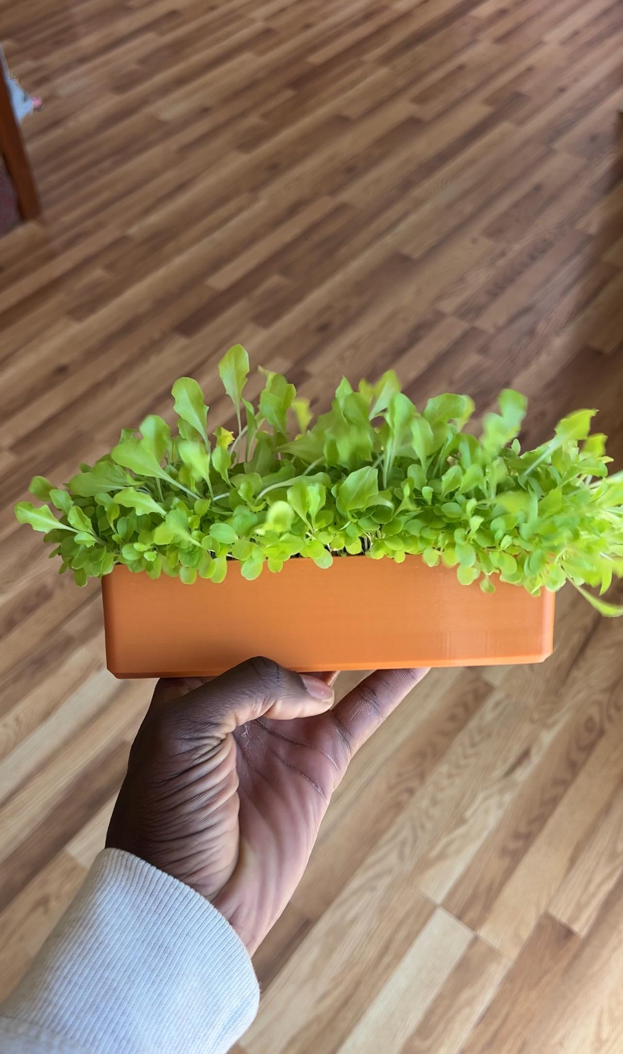 Windowsill Planter - Microgreens Kit with Seeds, Indoor Herb Garden Starter Kit, Grow Your Own Kitchen Herbs & Veggies, Gardener Gift
